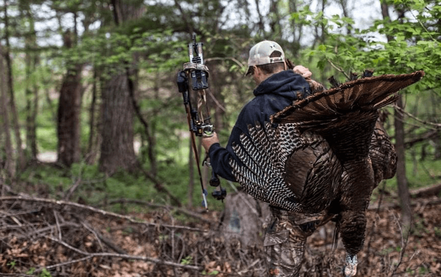 Best Time to Hunt Turkey
