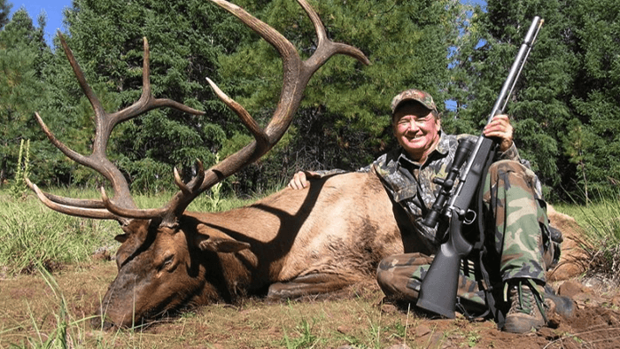 Elk Hunting Tips For Beginners