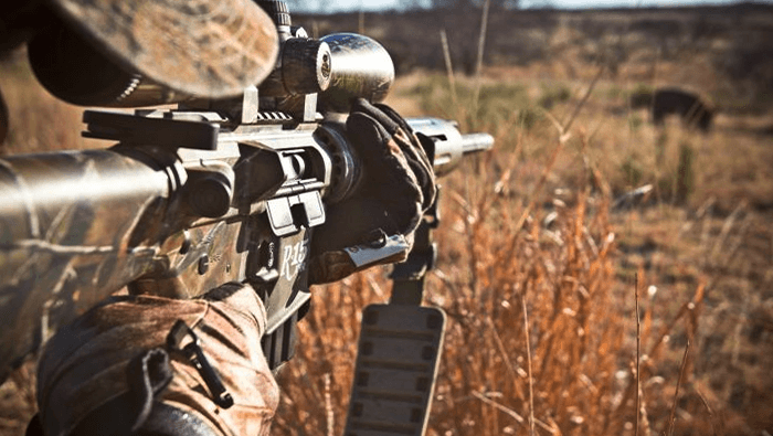 Best Scopes for AR 15 Coyote Hunting