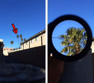 Nikon PROSTAFF RIMFIRE