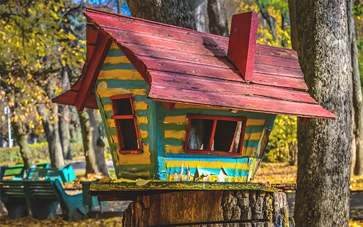 How To Stop Woodpecker Attacking Bird Box